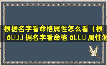 根据名字看命格属性怎么看（根 🕊 据名字看命格 🐎 属性怎么看五行）